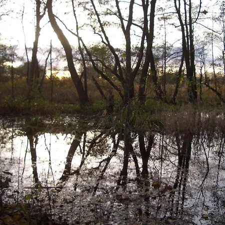 Apartament Meyers Veranda *