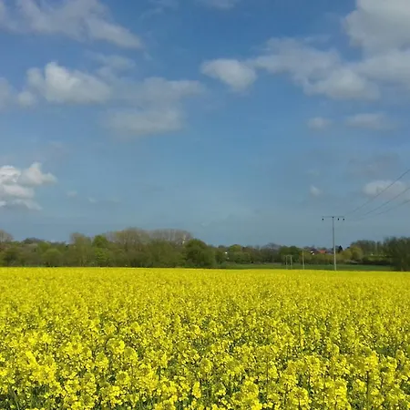 Apartmán Meyers Veranda Zingst